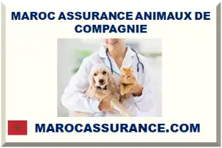 MAROC ASSURANCE ANIMAUX DE COMPAGNIE